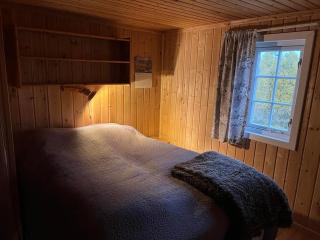 Cozy cabin on Golsfjellet west - Auenhauglie - 6