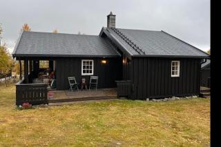 Cozy cabin on Golsfjellet west - Auenhauglie - 5