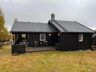 Cozy cabin on Golsfjellet west - Auenhauglie - 3