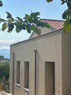 Ecoloft Radici - 0