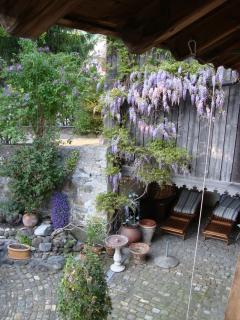 bed and breakfast Liechti - 2