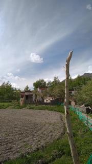 THE WILD ROSE LADAKH homestay - 6