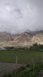 THE WILD ROSE LADAKH homestay - 5