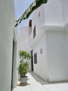 Maison Blanche - 7