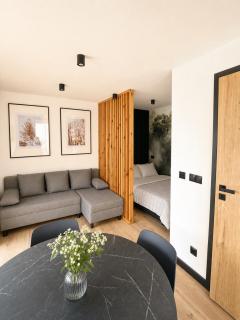 "Work and Quiet", Faktura VAT, KLIMATYZACJA, AIR CONDITIONING, GROUND FLOOR, PARKING, PARTER, - 0