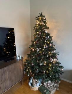 Bright and central city apartment Centrally located - 9