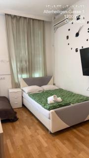 Elegant Private rooms in Vienna - 2