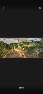 مزرعة واستراحة حمدان Hamdan Farm - 7