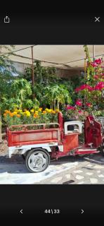 مزرعة واستراحة حمدان Hamdan Farm - 5