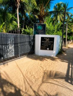 A 2 Z Surf Camp - 8