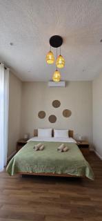 JEM House Gabala - 6