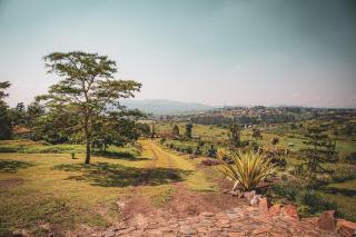 Kyoozi Farmland B&B - 3