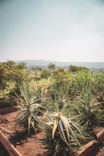 Kyoozi Farmland B&B - 1