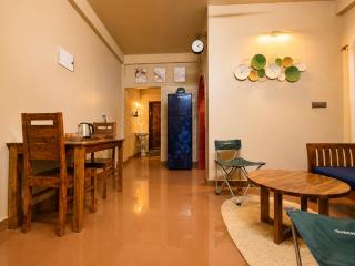 Aaroma Homez AC 1BHK WITH BALCONY - 5