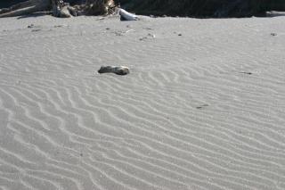 David Samstrong Lite 小馬客棧 果園 - 4