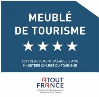 Duplex 2 chambres "Coeur de Ville" Meublé de tourisme 4 étoiles - 9
