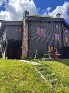 Vikinggrenda 10C - walking distance to everything - Ski in and out - 0
