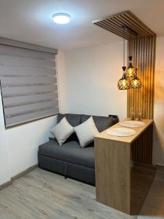 Modern studio apartment near the airport - 8