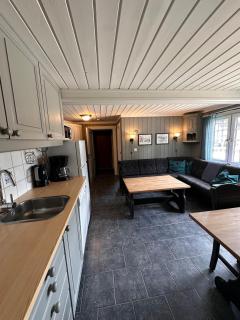 Vikinggrenda 12D walking distance to everything Ski in and out - 1
