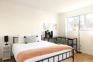 Midtown Retreat-Pet Friendly - 6