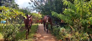 Domaine du Carrousel - 6