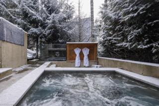 Two Cedars, Ski in-Ski out - Kadenwood Estate - 4