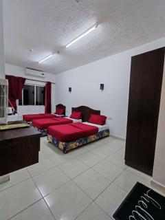 فندق قصر الامير Amir Palace Hotel - 5