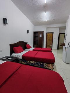 فندق قصر الامير Amir Palace Hotel - 8