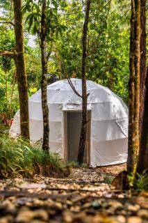 Botanik Glamping - 1