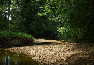 Altenbrauch Farm - Camping in the Hocking Hills - 4