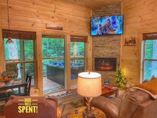 Quiet*cozy*fast WIFI* Dollywood* hottub*FP #9 - 3