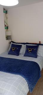 Small double self contained room central Torquay - 5