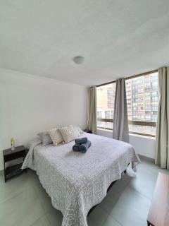 Downtown Apartment in Santiago Chile - 6
