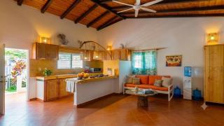 Casa los Mangos Private pool 150 m from the beach - 7