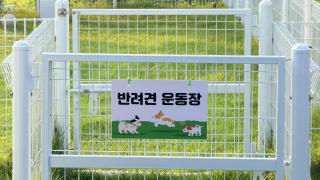 Ganghwa Aboha Pet-Friendly Pension - 7