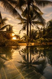 Bayay Tamsi - Private Jungle Villa with Ocean View - 5