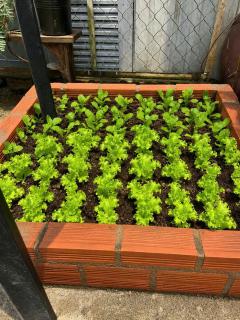 Min Mint EUDORA - 3