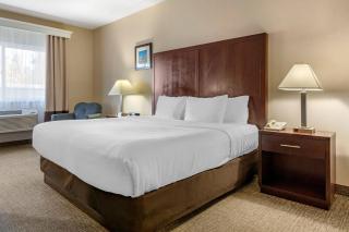 Comfort Inn & Suites Seattle North - 4