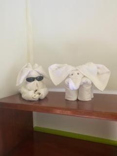 Residencia Gemma - 4