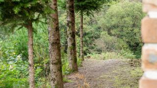 Gapyeong Ashely Pension - 2