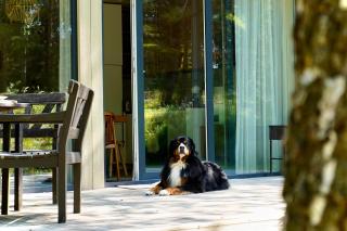 Tago Forest - Dune Apartments - 6