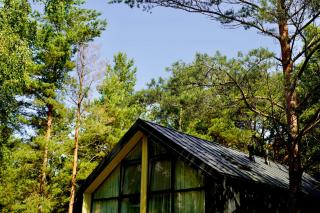 Tago Forest - Dune Apartments - 4