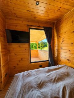 Carpathian Outlook Near Bran Castle - 1