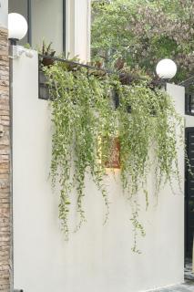 Amazing Studio Boutique Hotel - 3