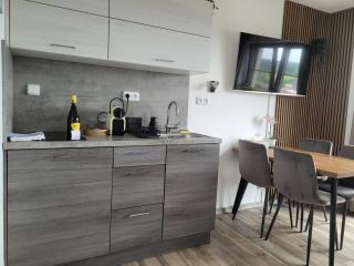 Apartmán Kovadlina 5 - Kovářov, výhled na Lipno - 6