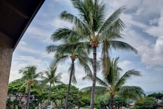Maui Vista 1411 - Kihei - 9