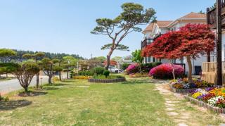Taean Ocean Stay Pension - 1