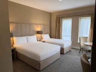 Wilton Hotel Bray - 2