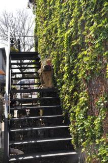 SOUSIE'S RUSTIC STAY - 1