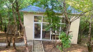 Private Forest House near Galaalti Hotel - 2